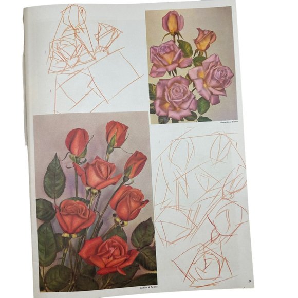 How To Draw And Paint Flowers Walter Foster Art Instruction Floral Oil - Picture 5 of 7